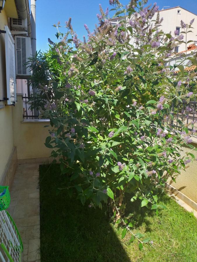 Apartman Vida Πούλα Εξωτερικό φωτογραφία