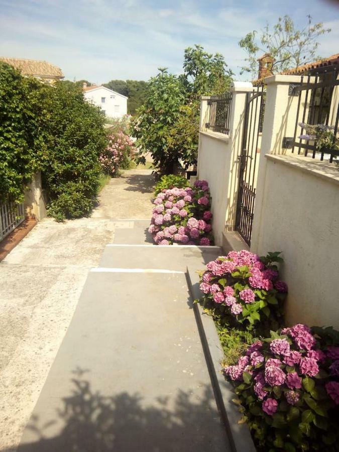 Apartman Vida Πούλα Εξωτερικό φωτογραφία